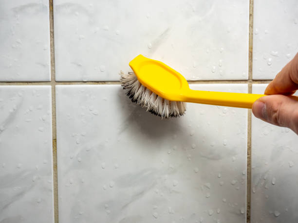 Best Mold Cleaning Services  in Sharon, TN