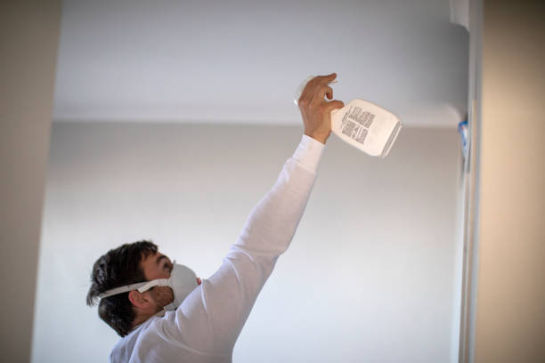 Mold Testing and Removal in Sharon, TN
